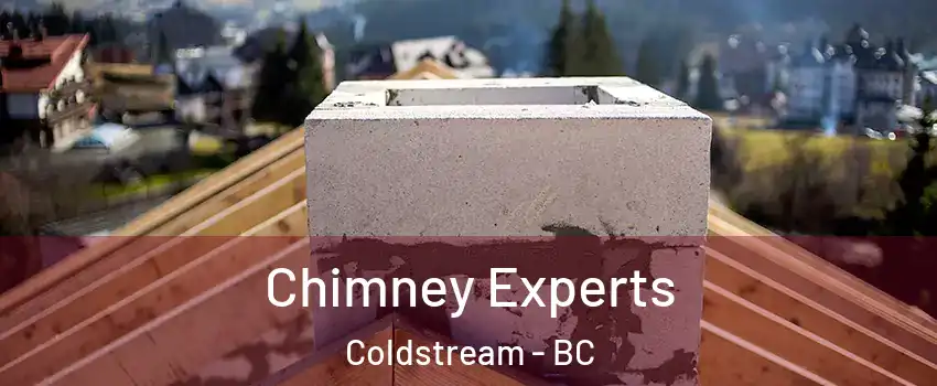 Chimney Experts Coldstream - BC