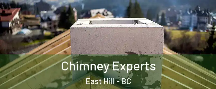  Chimney Experts East Hill - BC
