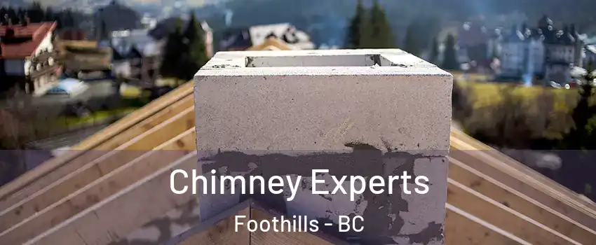 Chimney Experts Foothills - BC
