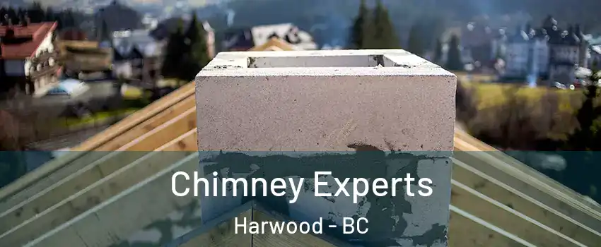 Chimney Experts Harwood - BC
