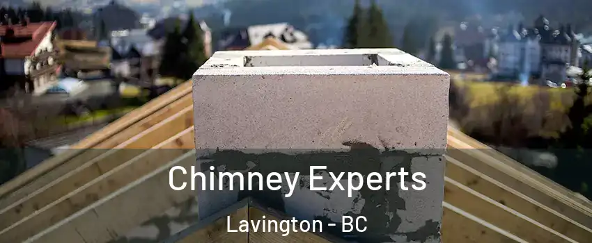 Chimney Experts Lavington - BC