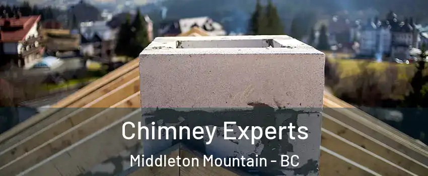 Chimney Experts Middleton Mountain - BC