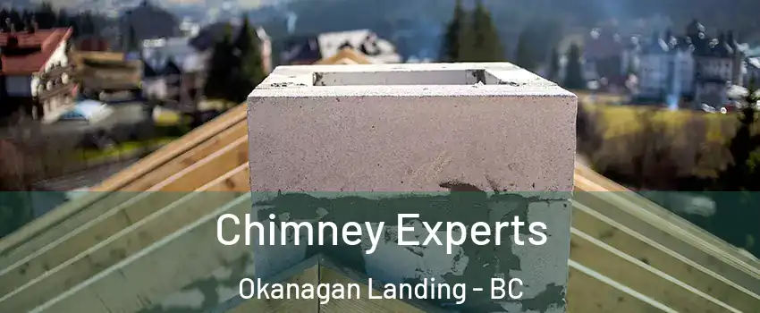 Chimney Experts Okanagan Landing - BC