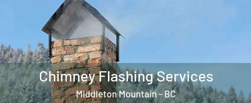 Chimney Flashing Services Middleton Mountain - BC