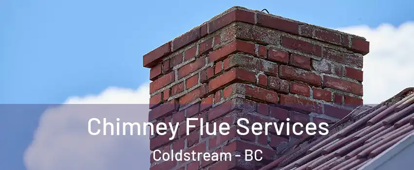 Chimney Flue Services Coldstream - BC