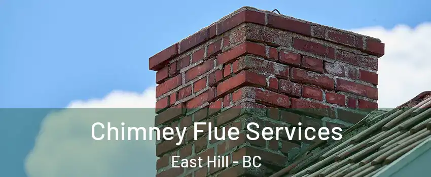  Chimney Flue Services East Hill - BC