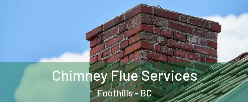  Chimney Flue Services Foothills - BC