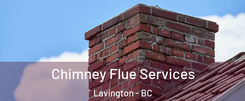  Chimney Flue Services Lavington - BC