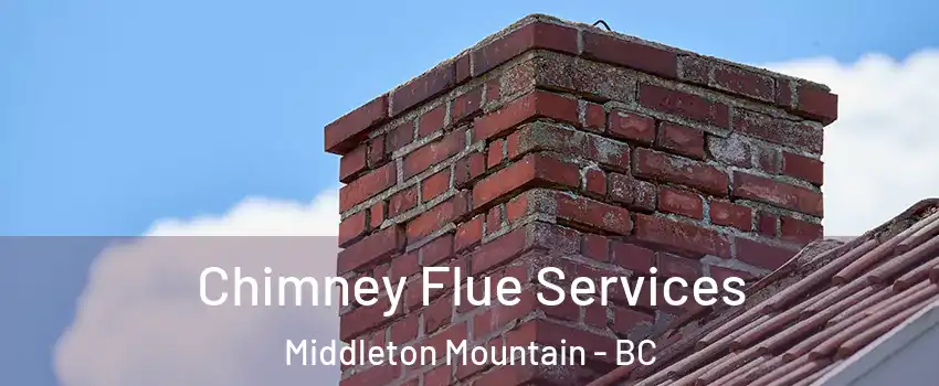 Chimney Flue Services Middleton Mountain - BC