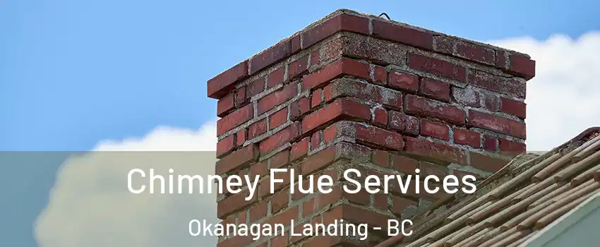  Chimney Flue Services Okanagan Landing - BC
