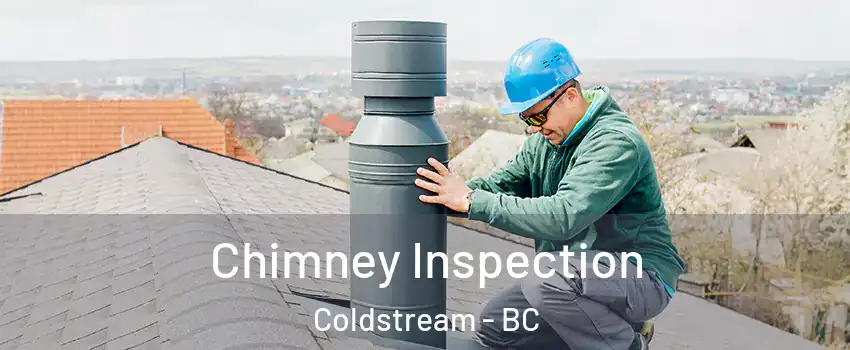  Chimney Inspection Coldstream - BC