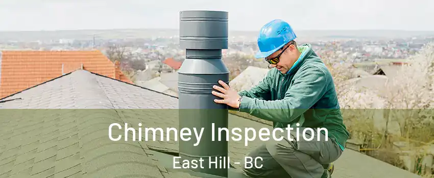  Chimney Inspection East Hill - BC
