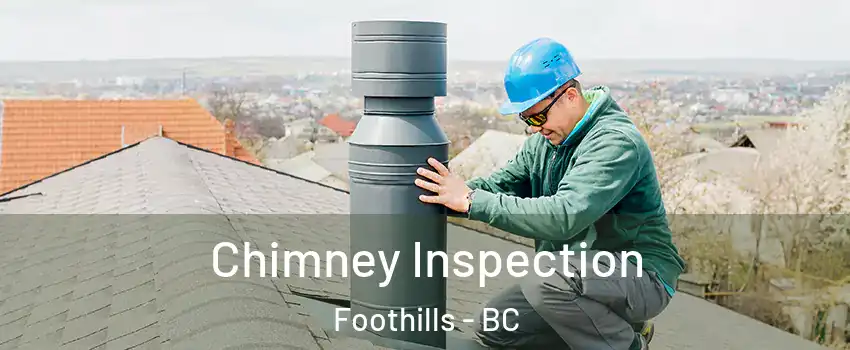  Chimney Inspection Foothills - BC