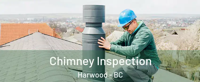  Chimney Inspection Harwood - BC