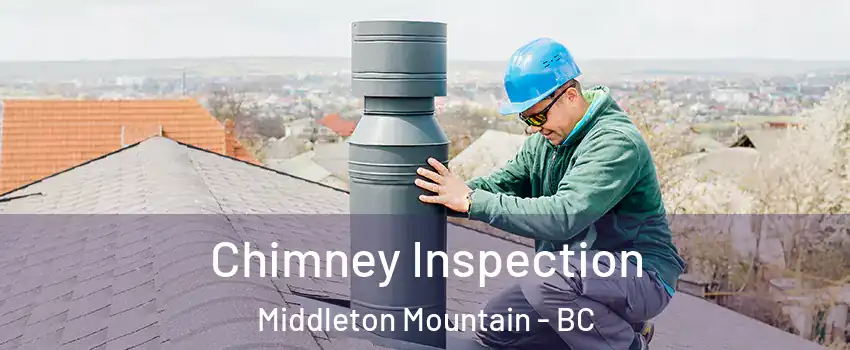  Chimney Inspection Middleton Mountain - BC