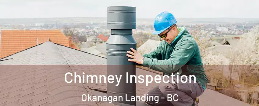  Chimney Inspection Okanagan Landing - BC