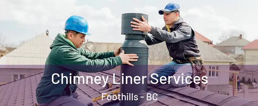  Chimney Liner Services Foothills - BC