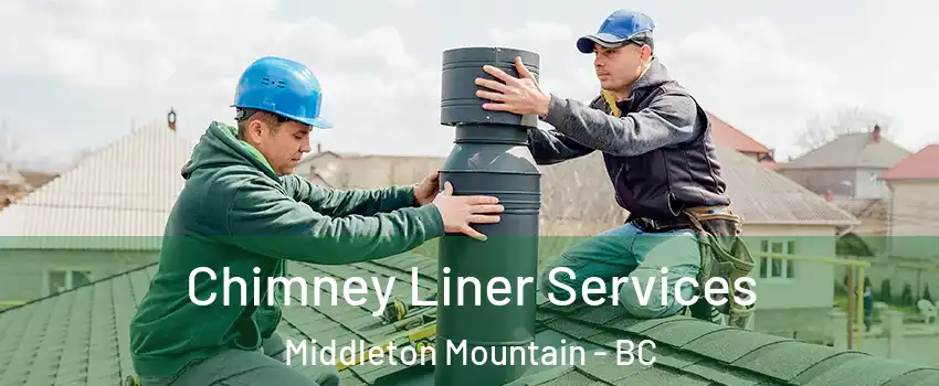  Chimney Liner Services Middleton Mountain - BC