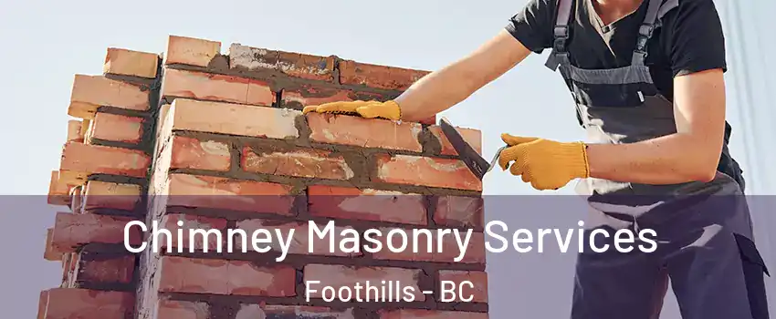  Chimney Masonry Services Foothills - BC