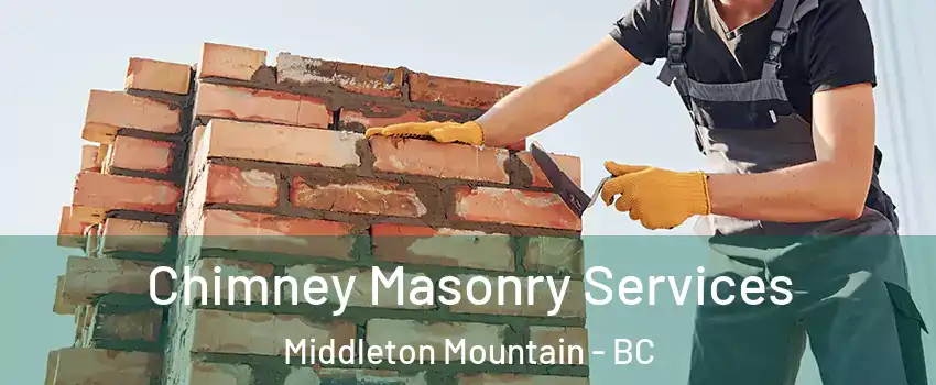  Chimney Masonry Services Middleton Mountain - BC