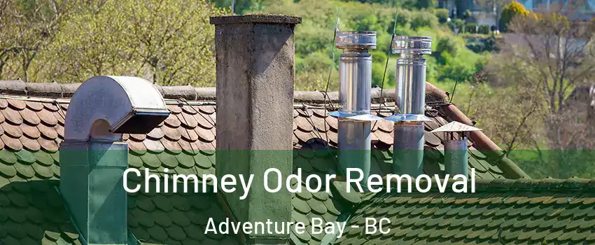  Chimney Odor Removal Adventure Bay - BC