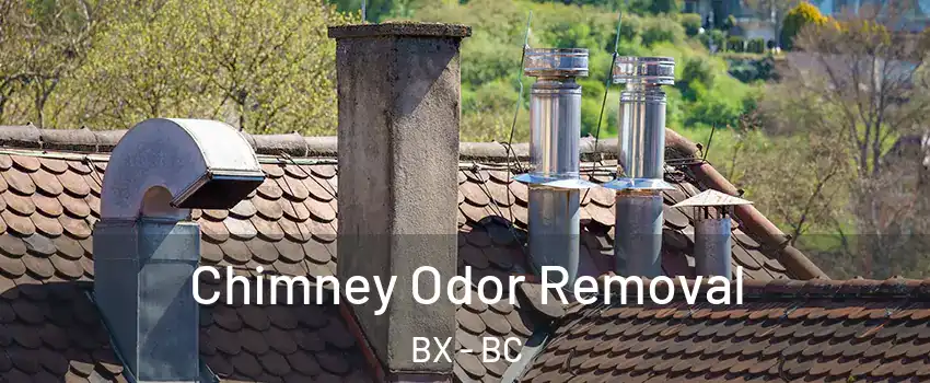  Chimney Odor Removal BX - BC