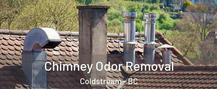  Chimney Odor Removal Coldstream - BC