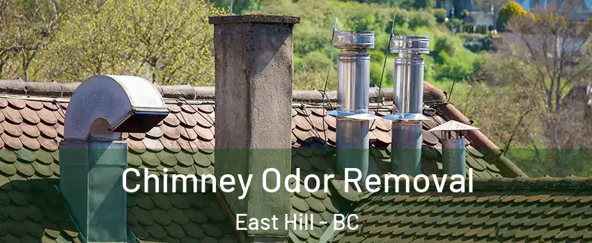  Chimney Odor Removal East Hill - BC