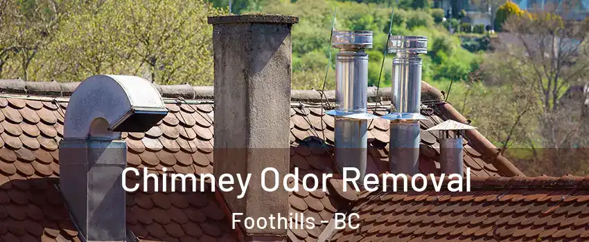  Chimney Odor Removal Foothills - BC