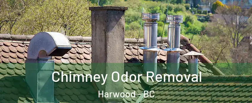  Chimney Odor Removal Harwood - BC