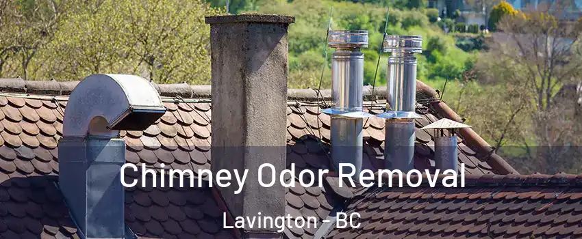  Chimney Odor Removal Lavington - BC