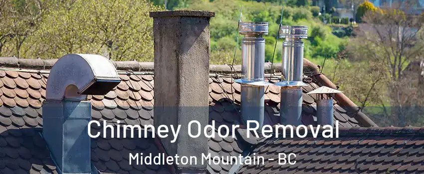  Chimney Odor Removal Middleton Mountain - BC