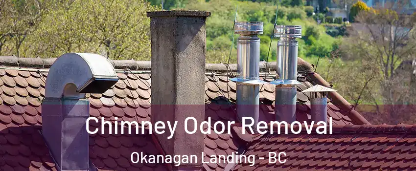  Chimney Odor Removal Okanagan Landing - BC