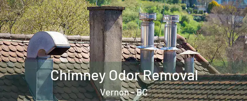  Chimney Odor Removal Vernon - BC
