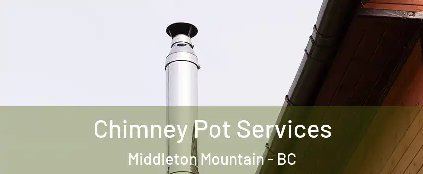  Chimney Pot Services Middleton Mountain - BC