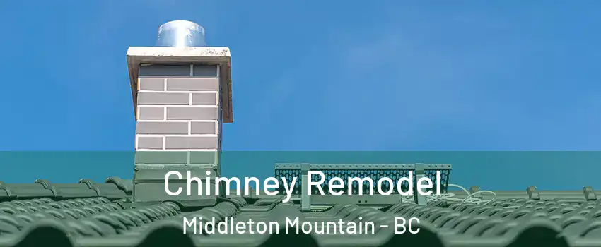  Chimney Remodel Middleton Mountain - BC