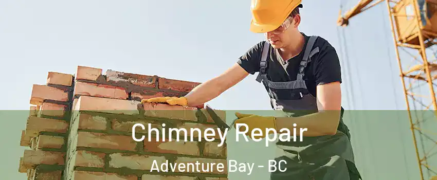 Chimney Repair Adventure Bay - BC