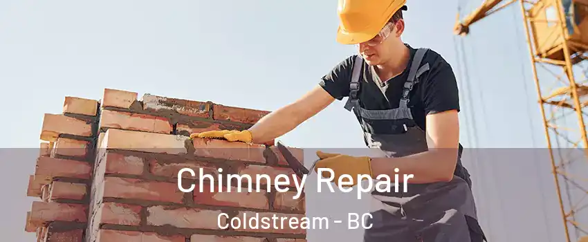  Chimney Repair Coldstream - BC