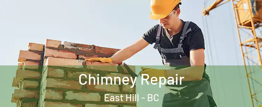  Chimney Repair East Hill - BC