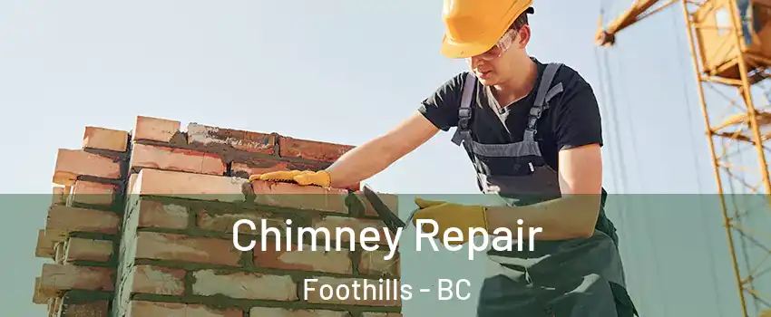  Chimney Repair Foothills - BC
