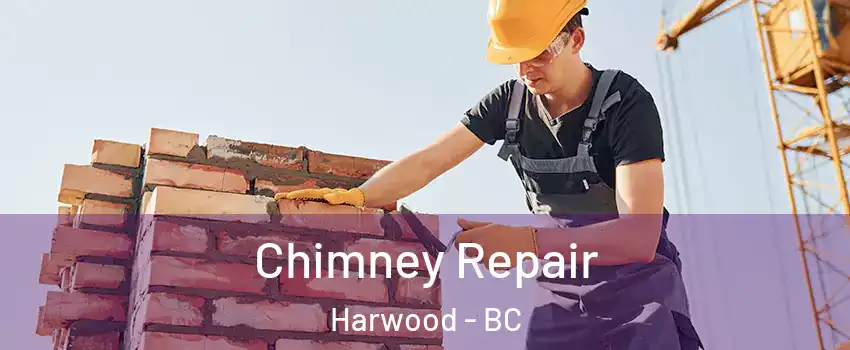  Chimney Repair Harwood - BC