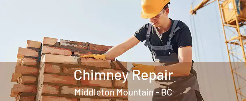 Chimney Repair Middleton Mountain - BC