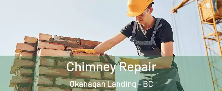  Chimney Repair Okanagan Landing - BC