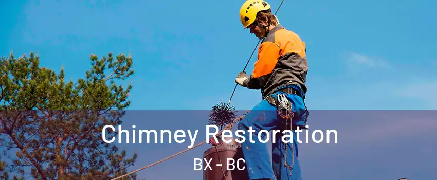  Chimney Restoration BX - BC