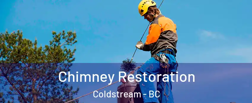  Chimney Restoration Coldstream - BC