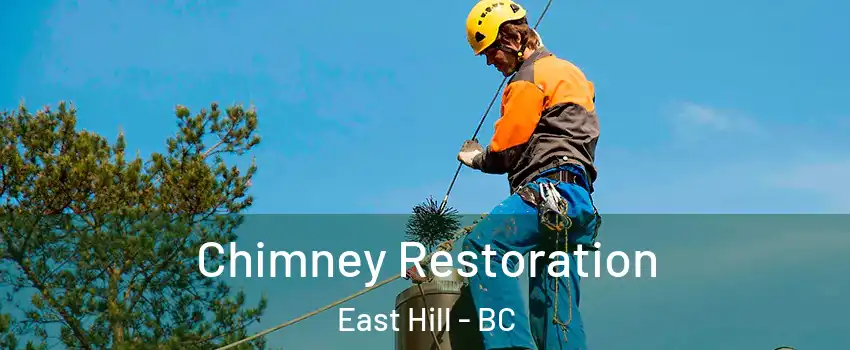  Chimney Restoration East Hill - BC