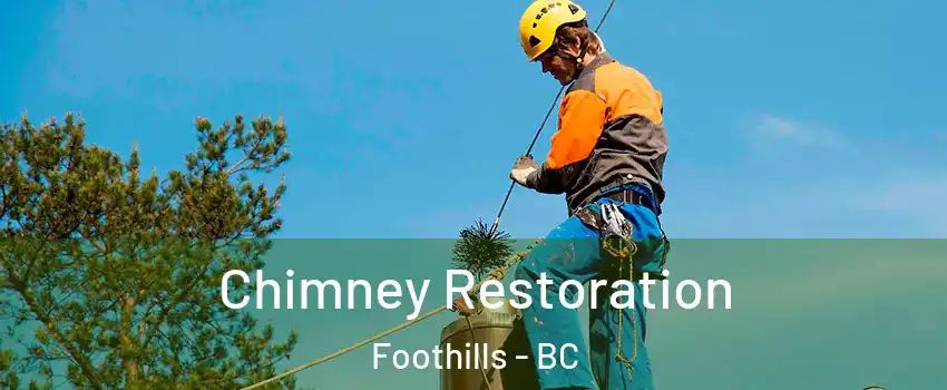  Chimney Restoration Foothills - BC