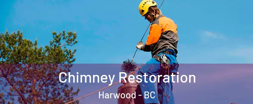  Chimney Restoration Harwood - BC