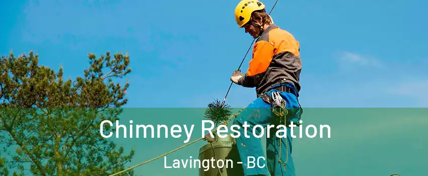  Chimney Restoration Lavington - BC