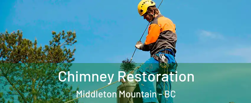  Chimney Restoration Middleton Mountain - BC